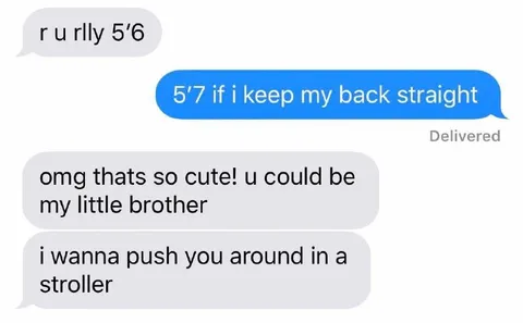 The Stroller Little Brother Joke
