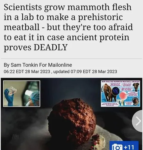 Mammoth Meatball Too Dangerous