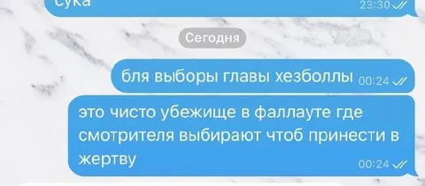 Выборы главы Хезболлы в Fallout
