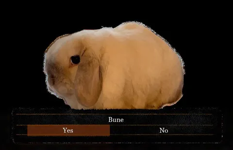 Bune Yes No Poll
