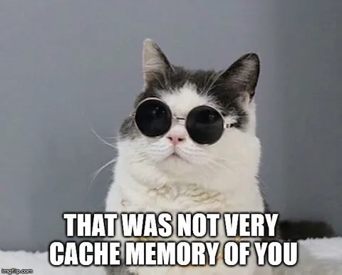 Cat Remembers Your Cache