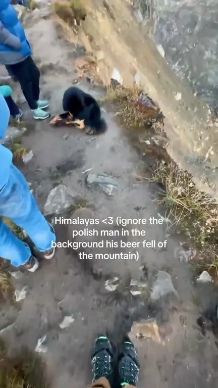 Himalayas and the Beer-Fueled View