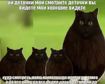 Мама-кошка показывает, что видно