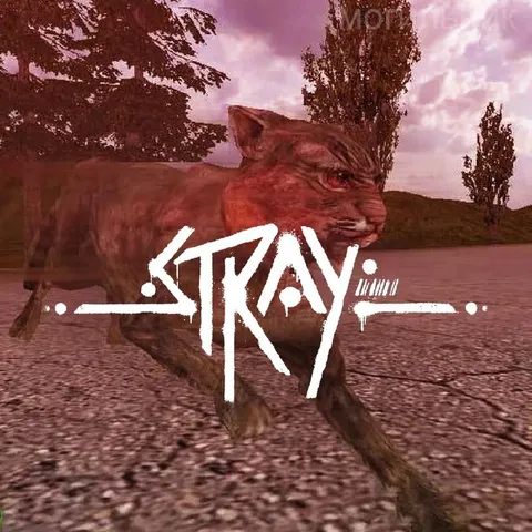 Stray Cat Game Meme