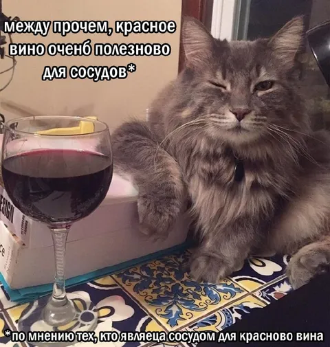 Красное вино для сосудов
