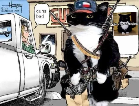 Armed Cat Rejects Anti-Gun Argument