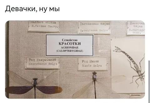 Девачки, ну мы красавки
