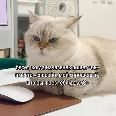 Начальник пишет просто «ок»