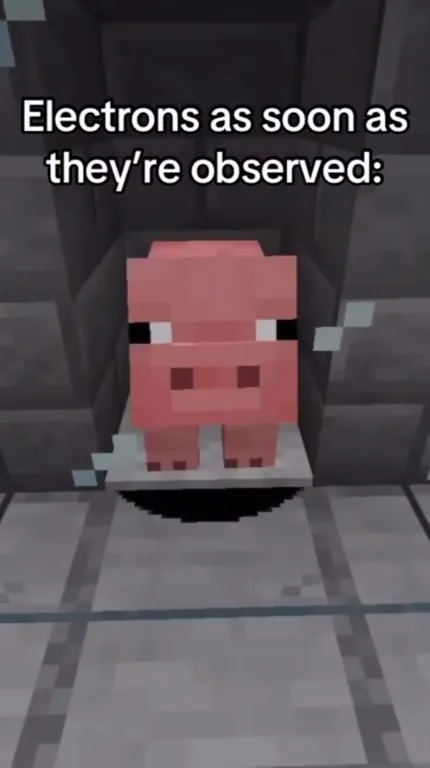 Electrons Become Pigs When Observed