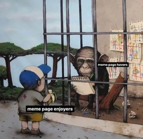 Meme Page Enjoyers and Havers