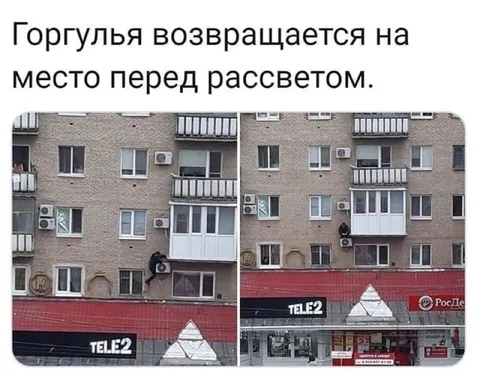 Горгулья возвращается на место