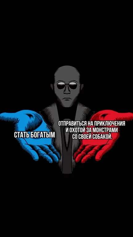 Собака отправилась за приключениями