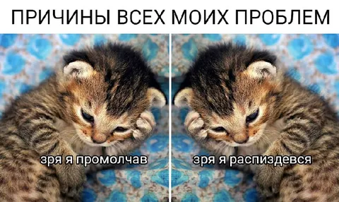 Причины всех моих проблем