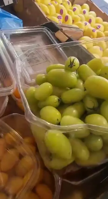 הענבים שנראו כמו עגבניות