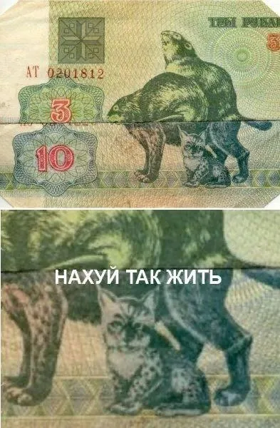 Нахуй так жить