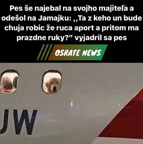 Pes sa najebal na Jamajku