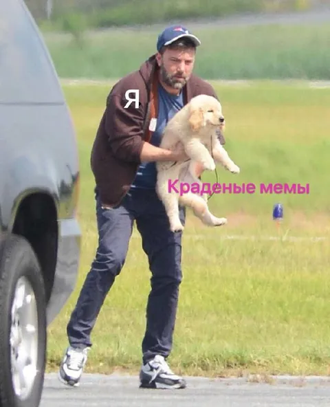 Я краду мемы