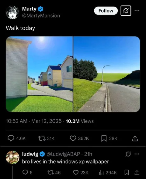 Bro Lives in Windows XP Wallpaper