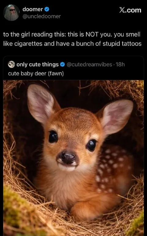 Cute Deer Is Not You