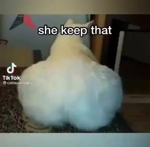 Cats Keep It Juicy