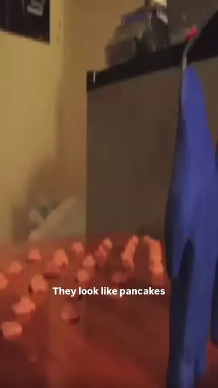 What the Heck Are Those Things?
