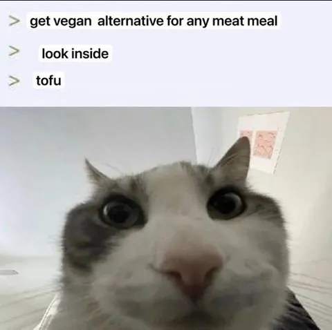 Vegan Alternative: Tofu