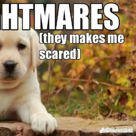 Scared of HTML mares