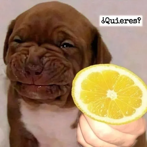 ¿Quieres limón?