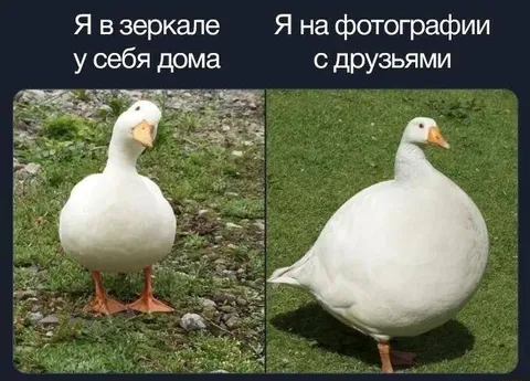 Я в зеркале и на фотографии