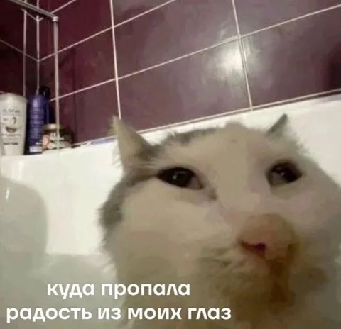 Куда пропала радость из глаз