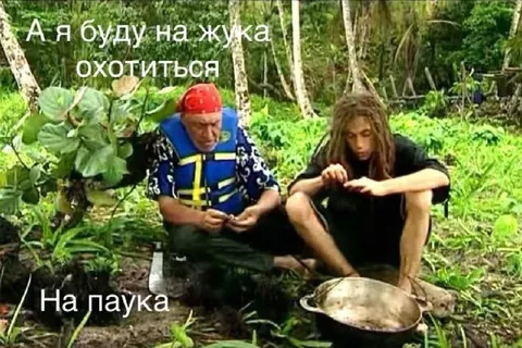 Охота на паука