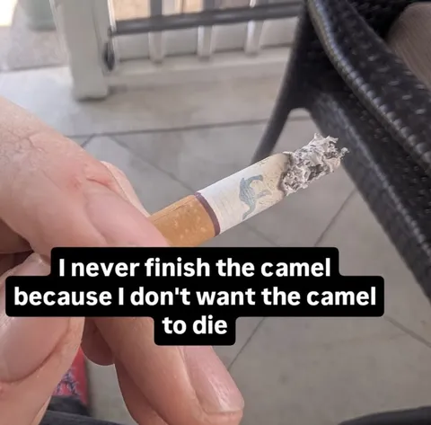 I Never Finish the Camel