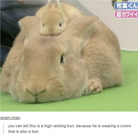 High Ranking Bun Crown