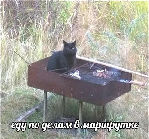 Еду по делам в маршрутке