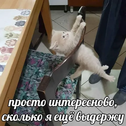 Сколько я ещё выдержу