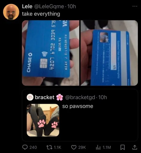 Take Everything Pawsome