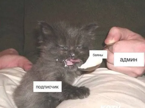 Подписчик просит баяны