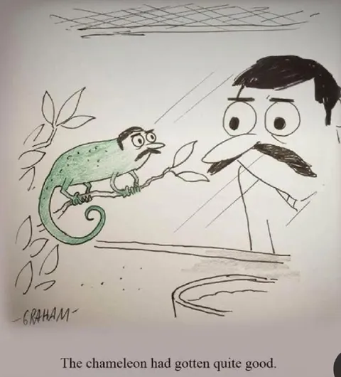 The Chameleon Had Gotten Quite Good