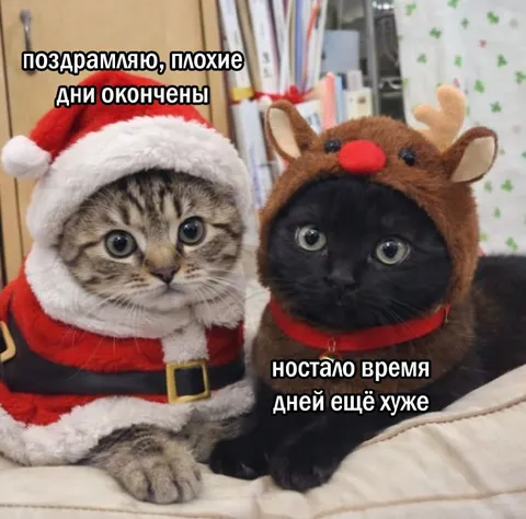 Плохие дни закончились