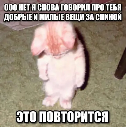 Кролик снова сплетничает за спиной