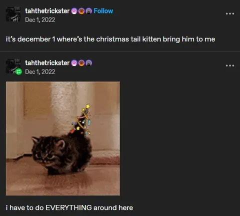 Christmas Tail Kitten Duties