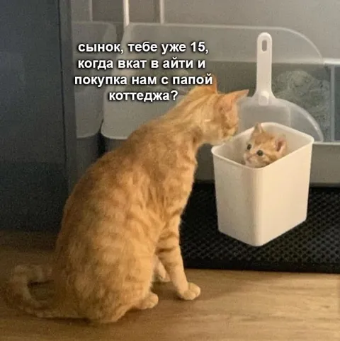 Когда вкатишься в айти