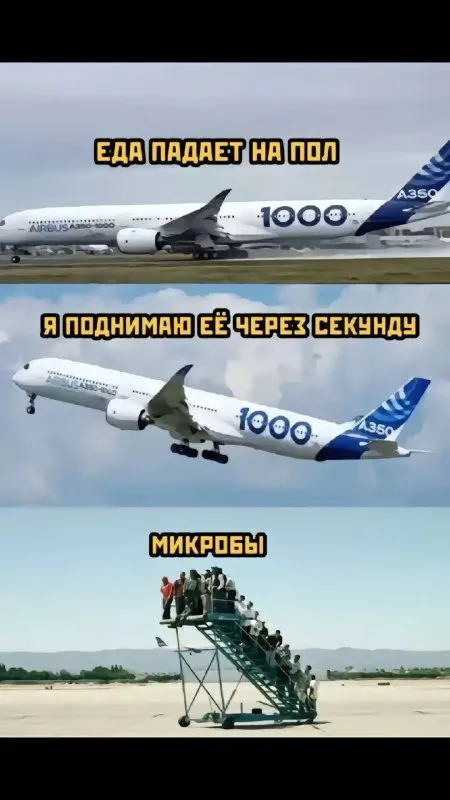 Еда падает на пол