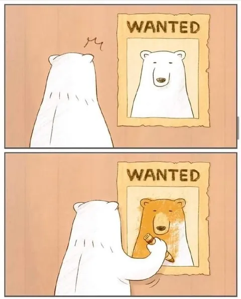 Bear Finds Himself Wanted