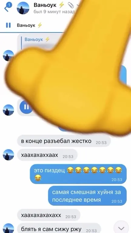 Приступ аллергии от голосового