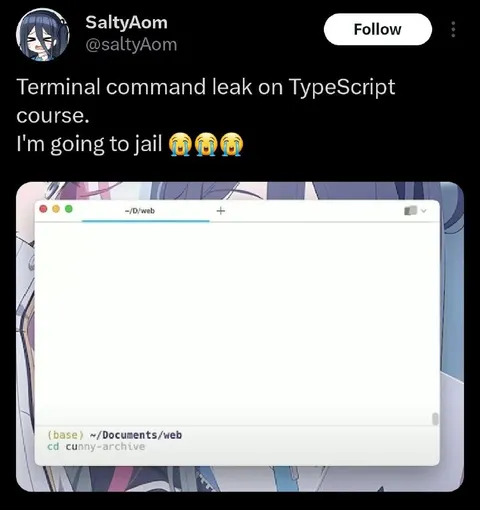 TypeScript Course Command Leak