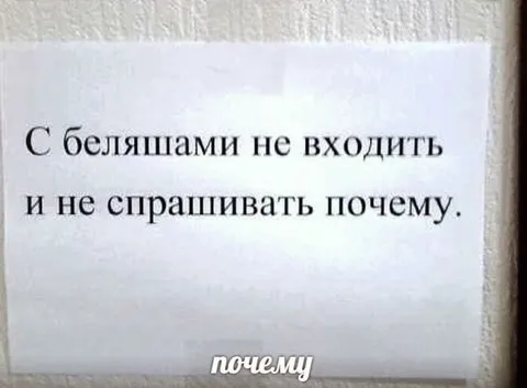 С беляшами не входить