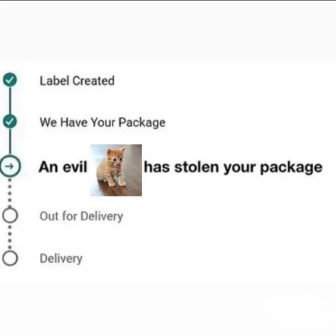 Evil Cat Stole Your Package