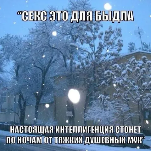 Секс для быдла, страдания для интеллигенции