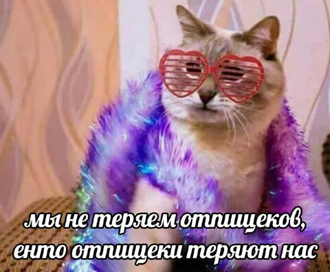 Кот в праздничных очках